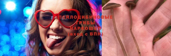 прущий лед Гусев