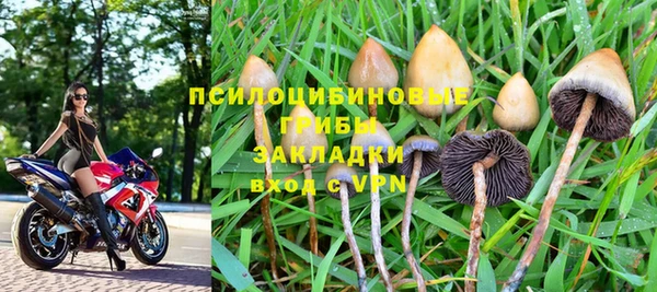 прущий лед Гусев