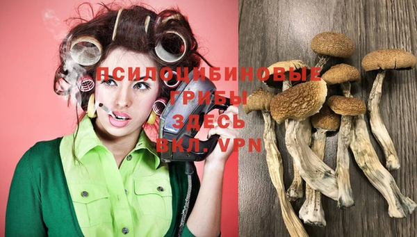 прущий лед Гусев