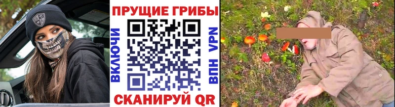 магазин продажи   Покачи  KRAKEN ссылки  Псилоцибиновые грибы мицелий 